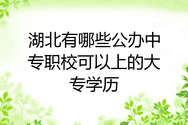 湖北有哪些公办中专职校可以上的大专学历