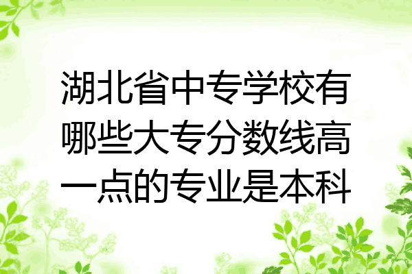 湖北省中专学校有哪些大专分数线高一点的专业是本科
