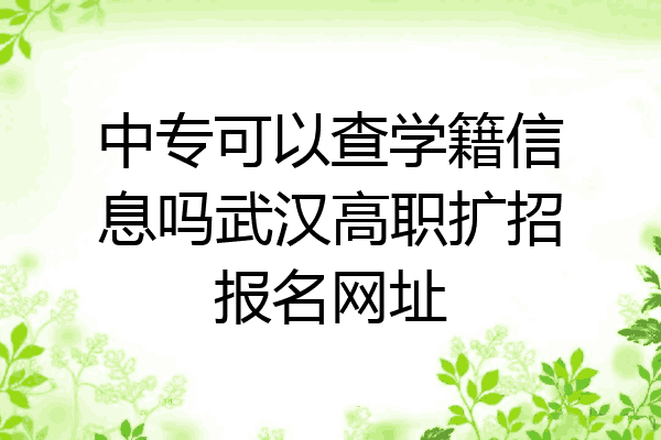 中专可以查学籍信息吗武汉高职扩招报名网址