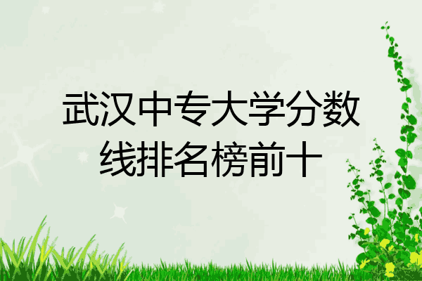 武汉中专大学分数线排名榜前十