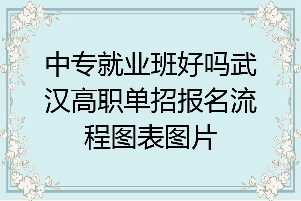 中专就业班好吗武汉高职单招报名流程图表图片