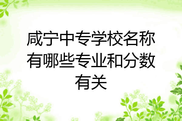 咸宁中专学校名称有哪些专业和分数有关