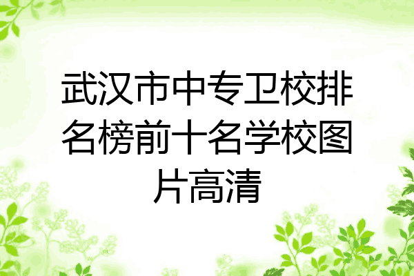 武汉市中专卫校排名榜前十名学校图片高清