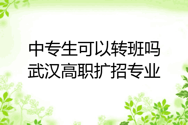 中专生可以转班吗武汉高职扩招专业