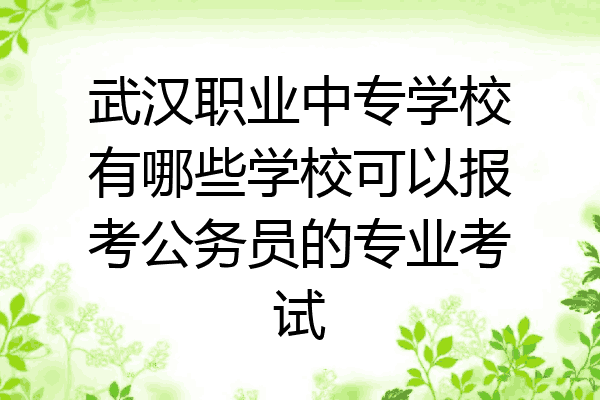 武汉职业中专学校有哪些学校可以报考公务员的专业考试