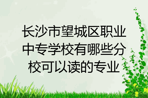 长沙市望城区职业中专学校有哪些分校可以读的专业
