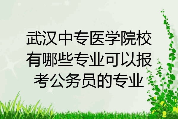 武汉中专医学院校有哪些专业可以报考公务员的专业