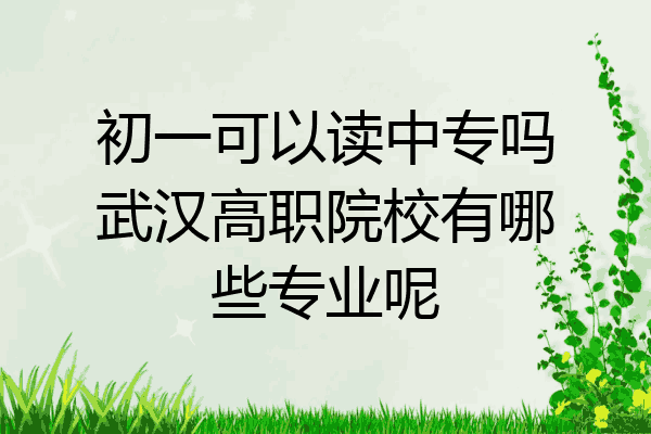 初一可以读中专吗武汉高职院校有哪些专业呢