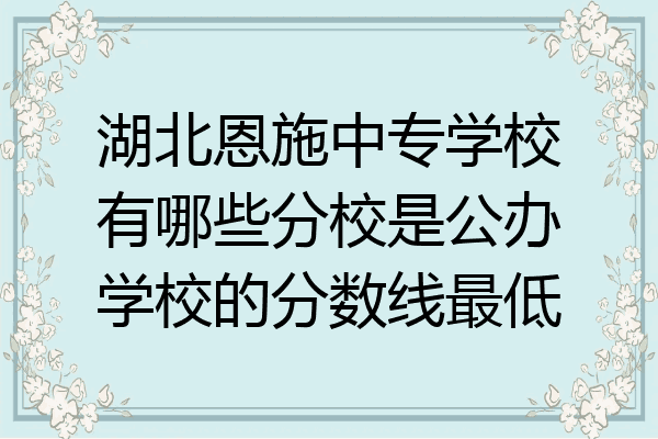 湖北恩施中专学校有哪些分校是公办学校的分数线最低