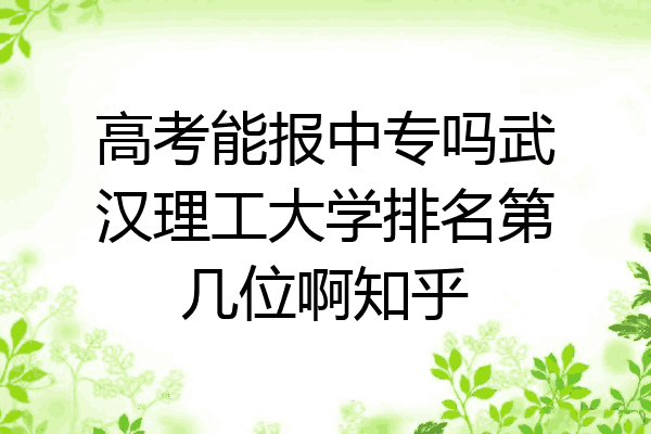 高考能报中专吗武汉理工大学排名第几位啊知乎