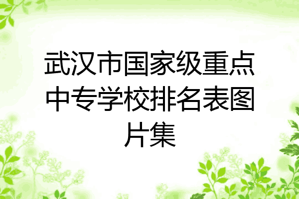 武汉市国家级重点中专学校排名表图片集