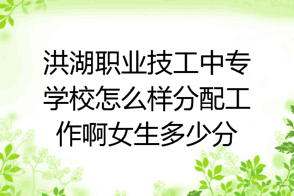 洪湖职业技工中专学校怎么样分配工作啊女生多少分