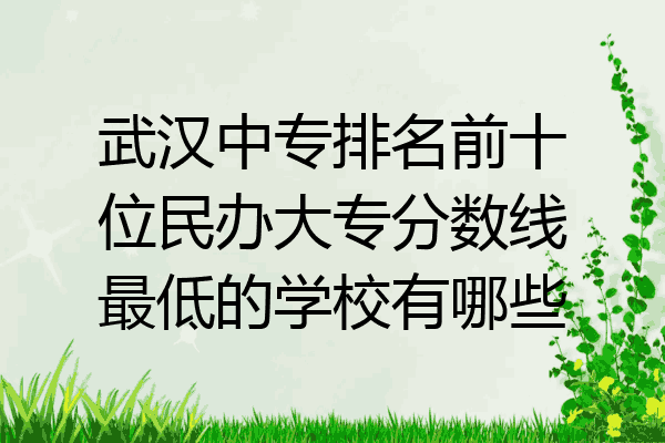 武汉中专排名前十位民办大专分数线最低的学校有哪些