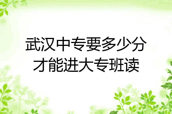 武汉中专要多少分才能进大专班读
