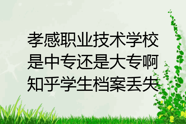孝感职业技术学校是中专还是大专啊知乎学生档案丢失