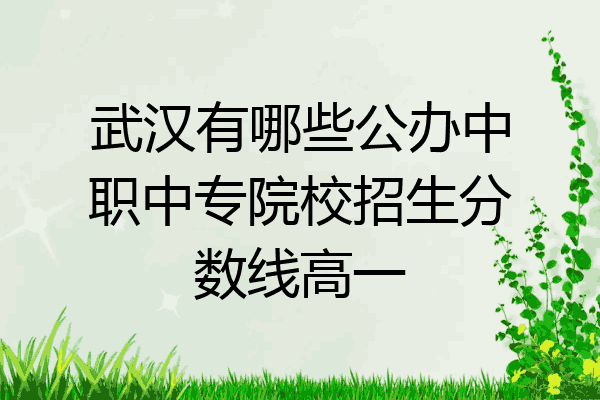 武汉有哪些公办中职中专院校招生分数线高一