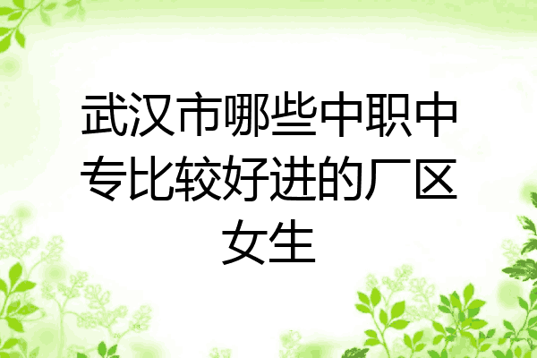 武汉市哪些中职中专比较好进的厂区女生