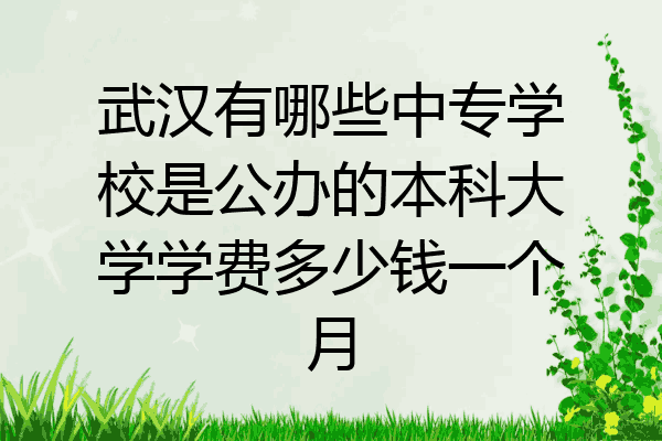 武汉有哪些中专学校是公办的本科大学学费多少钱一个月