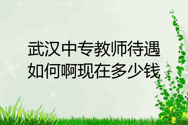 武汉中专教师待遇如何啊现在多少钱