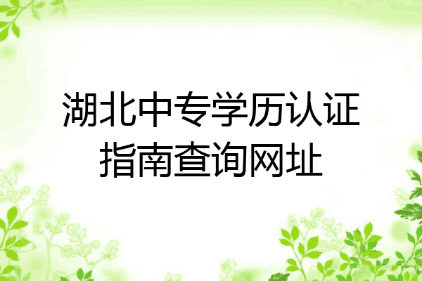 湖北中专学历认证指南查询网址