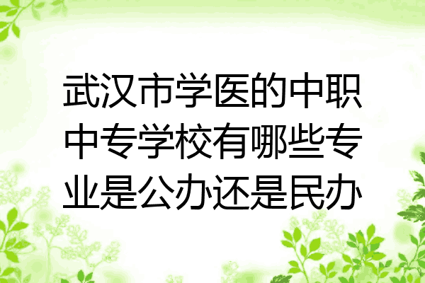 武汉市学医的中职中专学校有哪些专业是公办还是民办