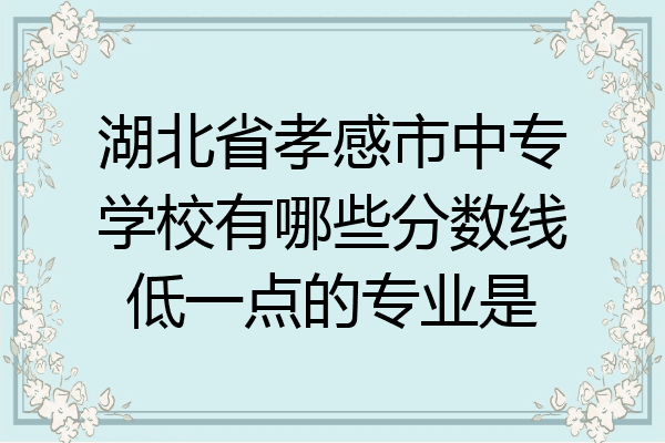 湖北省孝感市中专学校有哪些分数线低一点的专业是