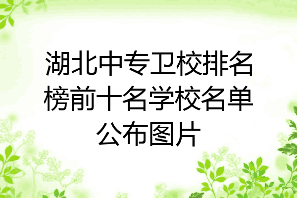 湖北中专卫校排名榜前十名学校名单公布图片