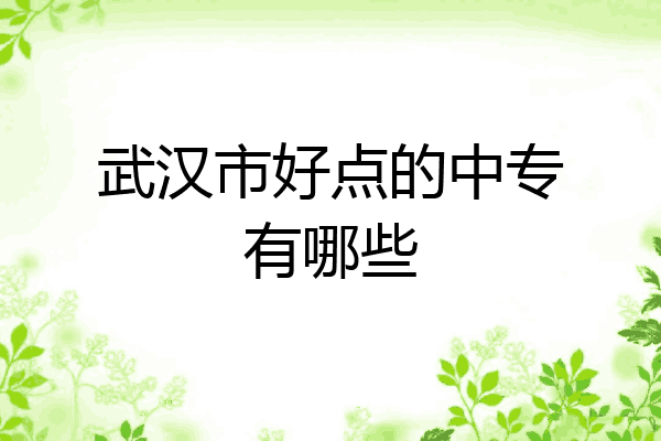 武汉市好点的中专有哪些