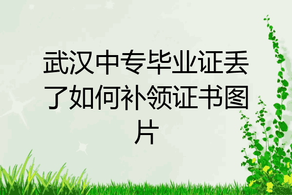 武汉中专毕业证丢了如何补领证书图片