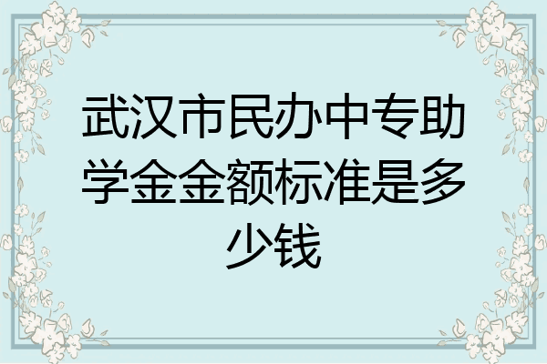 武汉市民办中专助学金金额标准是多少钱