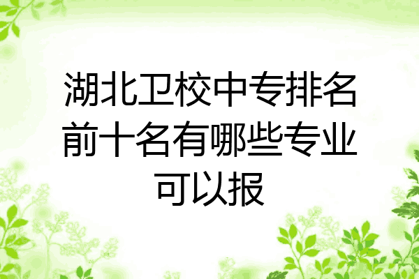 湖北卫校中专排名前十名有哪些专业可以报