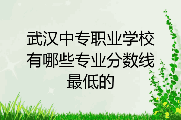 武汉中专职业学校有哪些专业分数线最低的