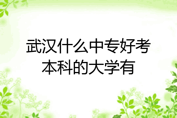 武汉什么中专好考本科的大学有