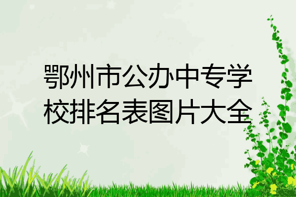 鄂州市公办中专学校排名表图片大全