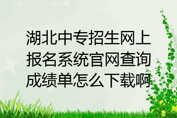 湖北中专招生网上报名系统官网查询成绩单怎么下载啊