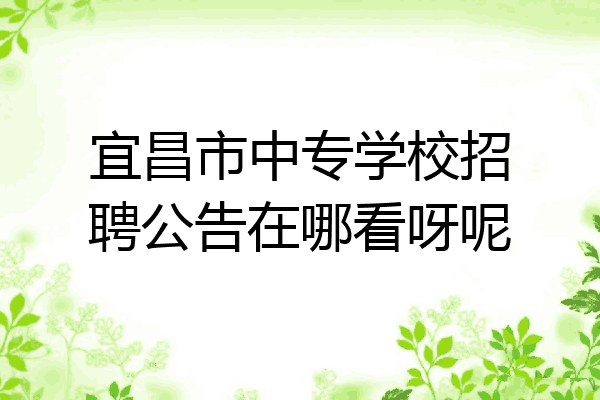 宜昌市中专学校招聘公告在哪看呀呢