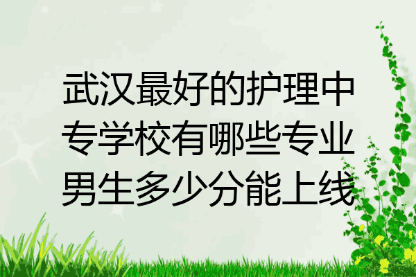 武汉最好的护理中专学校有哪些专业男生多少分能上线
