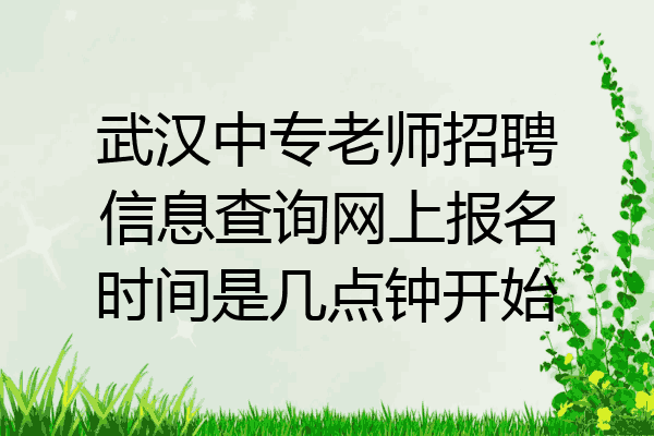武汉中专老师招聘信息查询网上报名时间是几点钟开始