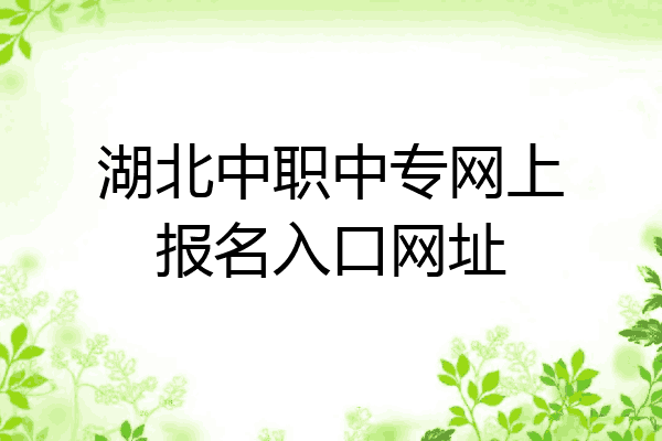 湖北中职中专网上报名入口网址