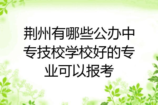 荆州有哪些公办中专技校学校好的专业可以报考