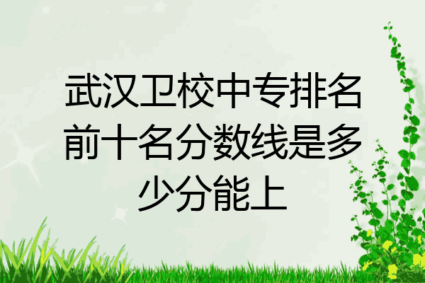 武汉卫校中专排名前十名分数线是多少分能上