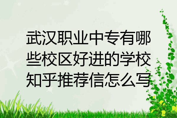 武汉职业中专有哪些校区好进的学校知乎推荐信怎么写