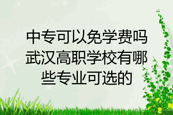 中专可以免学费吗武汉高职学校有哪些专业可选的