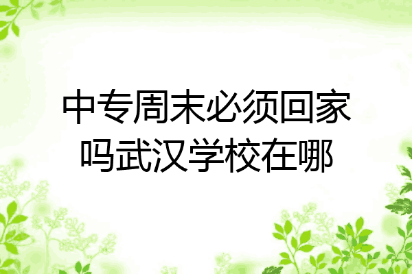 中专周末必须回家吗武汉学校在哪