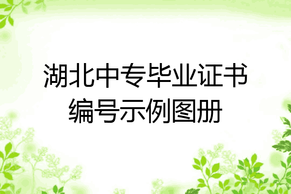 湖北中专毕业证书编号示例图册