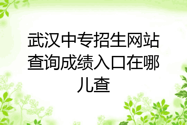 武汉中专招生网站查询成绩入口在哪儿查