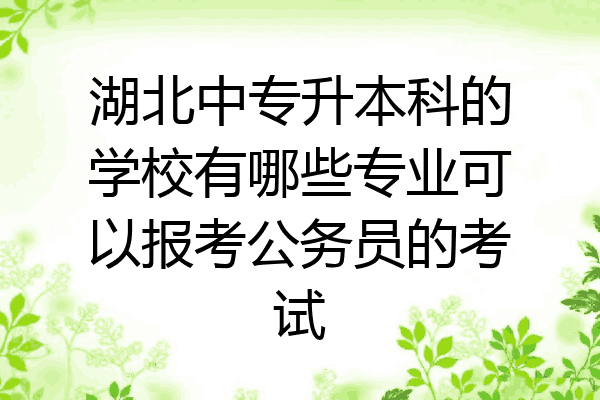 湖北中专升本科的学校有哪些专业可以报考公务员的考试