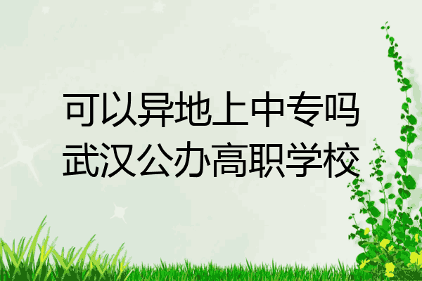 可以异地上中专吗武汉公办高职学校