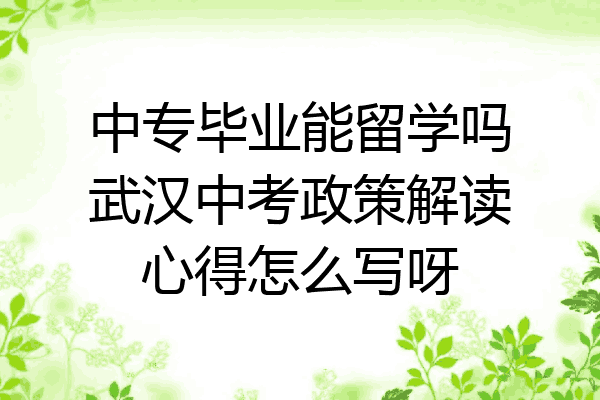 中专毕业能留学吗武汉中考政策解读心得怎么写呀