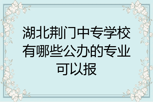 湖北荆门中专学校有哪些公办的专业可以报